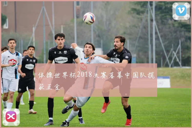 体操世界杯2018决赛落幕中国队揽获五金