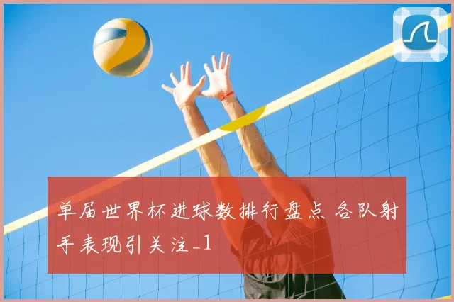 单届世界杯进球数排行盘点 各队射手表现引关注_1
